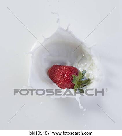 Strawberry dropping into milk View Large Photo Image Stock Photo - Strawberry dropping into milk. Fotosearch