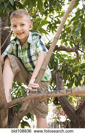 Caucasian boy climbing tree View Large Photo Image Stock Photograph - Caucasian boy climbing tree. Fotosearch