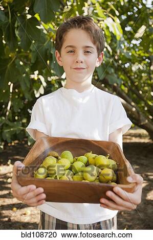 Caucasian boy picking fruit in orchard View Large Photo Image Stock Image - Caucasian boy picking fruit in orchard. Fotosearch