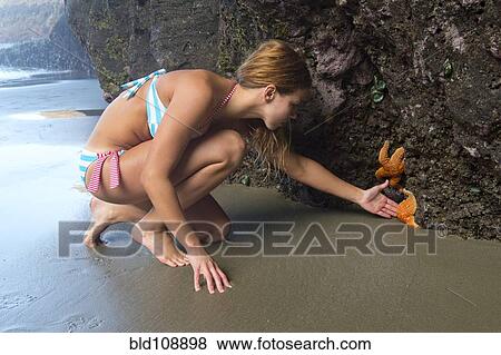 Stock Photo - Caucasian woman examining starfish on beach rock. Fotosearch
