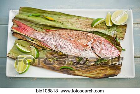 Fish on lime and corn husk View Large Photo Image Stock Photo - Fish on lime and corn husk. Fotosearch