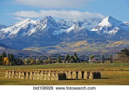 Stock Photo - Hay bales in rural field. Fotosearch