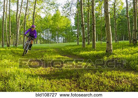 Hispanic teenager riding bicycle in woods View Large Photo Image Stock Photo - Hispanic teenager riding bicycle in woods. Fotosearch