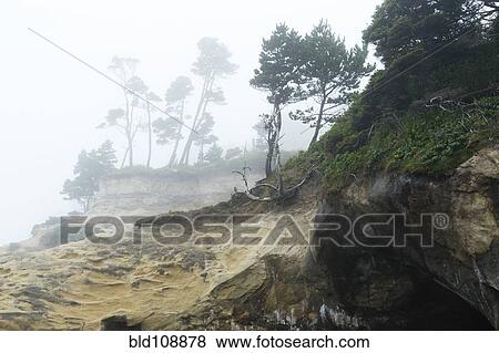 Rock formations on foggy coastline View Large Photo Image Stock Photo - Rock formations on foggy coastline. Fotosearch