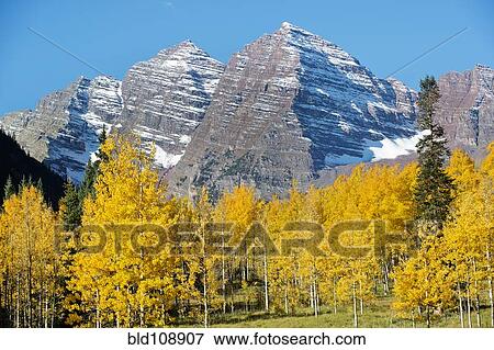 Stock Photo - Snowy mountains and yellow trees. Fotosearch