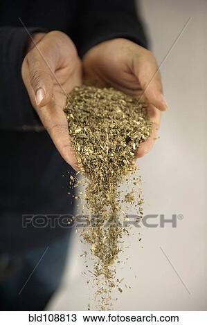 Tea pouring from Middle Eastern man's hands View Large Photo Image Stock Image - Tea pouring from Middle Eastern man's hands. Fotosearch