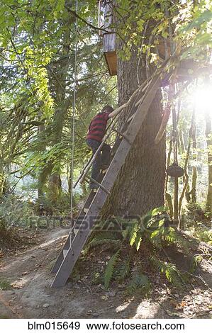 Stock Photo - Caucasian boy climbing ladder to tree house. Fotosearch