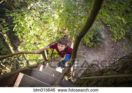 Stock Photograph - Caucasian boy climbing ladder to tree house. Fotosearch