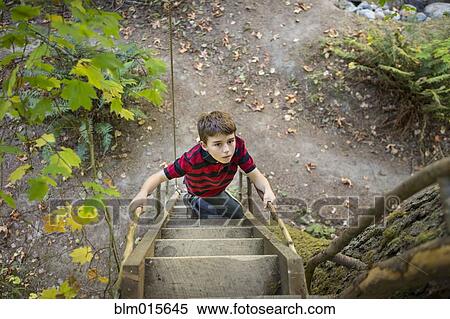 Stock Photography - Caucasian boy climbing ladder to tree house. Fotosearch