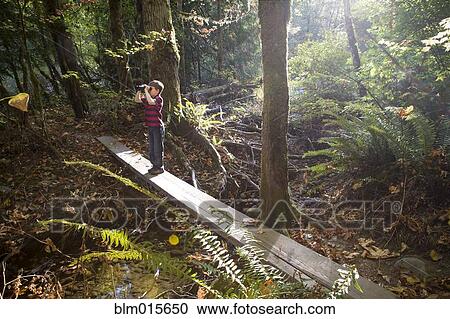 Stock Image - Caucasian boy on bridge using binoculars in forest. Fotosearch