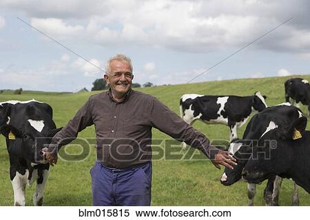 Stock Photography - Man standing in field with cows. Fotosearch