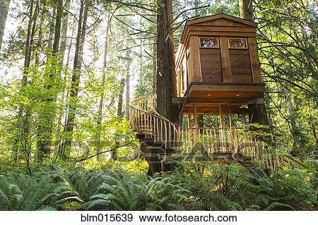 Remote tree house in forest View Large Photo Image Stock Photo - Remote tree house in forest. Fotosearch