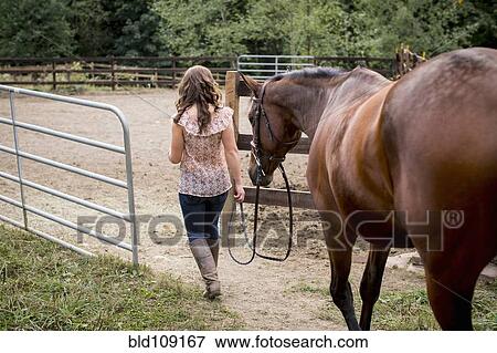 Stock Photo - Caucasian woman walking horse in pen. Fotosearch