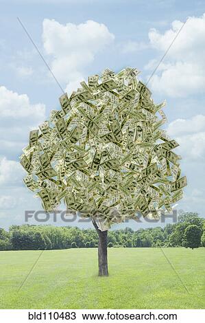 Stock Image - Illustration of dollar bills growing on tree. Fotosearch