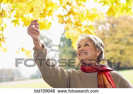 Stock Photo - Mixed race woman admiring autumn leaves. Fotosearch