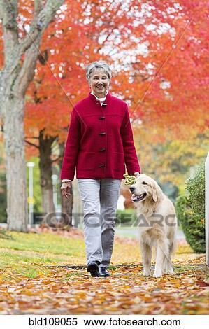 Stock Photography - Mixed race woman walking dog . Fotosearch