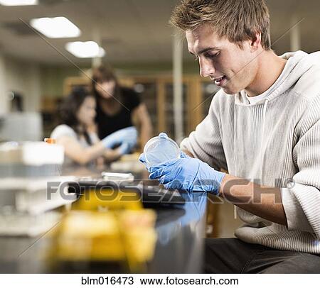 Stock Image - Caucasian student working in lab classroom. Fotosearch