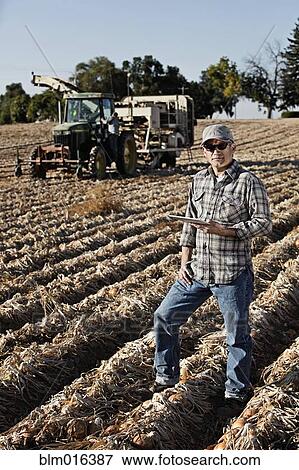 Stock Photo - Hispanic farmer using tablet computer in crop field. Fotosearch