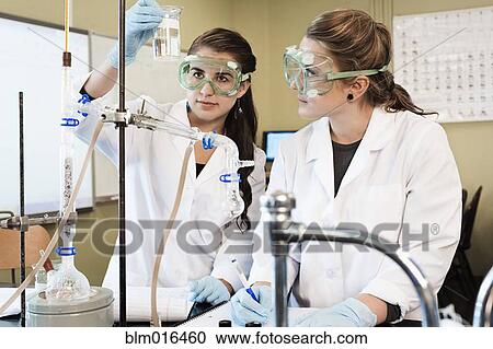 Students working in lab classroom View Large Photo Image Stock Image - Students working in lab classroom. Fotosearch