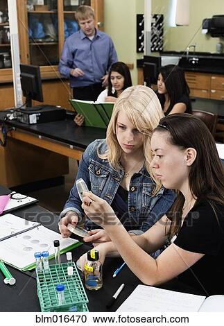 Students working in lab classroom View Large Photo Image Stock Image - Students working in lab classroom. Fotosearch