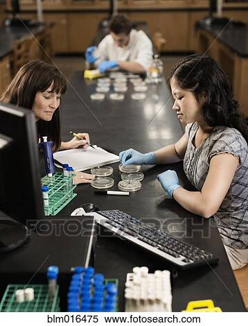 Students working in lab classroom View Large Photo Image Stock Photography - Students working in lab classroom. Fotosearch