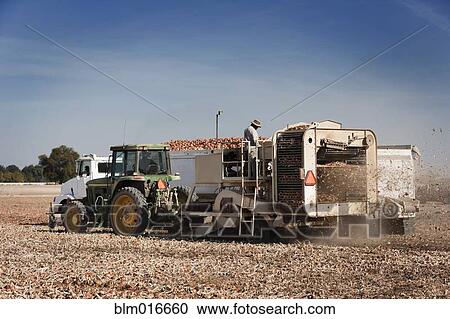 Farming machinery in crop field View Large Photo Image Stock Image - Farming machinery in crop field. Fotosearch