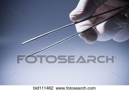 Stock Image - Close up of Hispanic doctor holding tweezers. Fotosearch