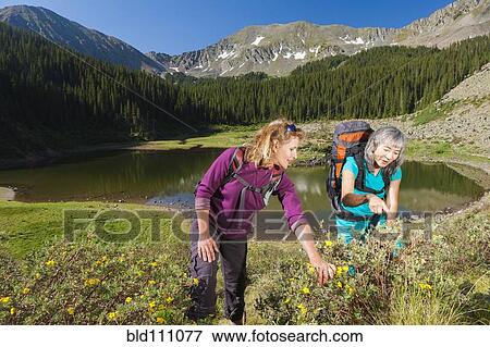 Stock Photo - Hikers examining plants in rural landscape. Fotosearch