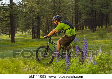 Hispanic man riding mountain bike in meadow View Large Photo Image Stock Image - Hispanic man riding mountain bike in meadow. Fotosearch