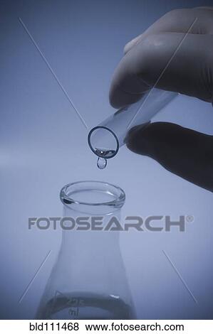 Hispanic scientist pouring liquid into beaker View Large Photo Image Stock Photo - Hispanic scientist pouring liquid into beaker. Fotosearch