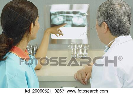Female dentist and dental assistant looking at x-rays View Large Photo Image Stock Photo - Female dentist and dental assistant looking at x-rays. Fotosearch