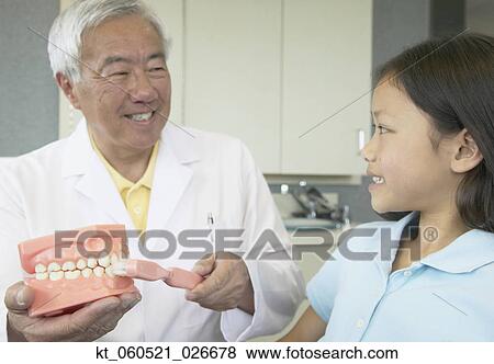 Senior Asian male dentist showing model of teeth to young patient View Large Photo Image Stock Photo - Senior Asian male dentist showing model of teeth to young patient. Fotosearch