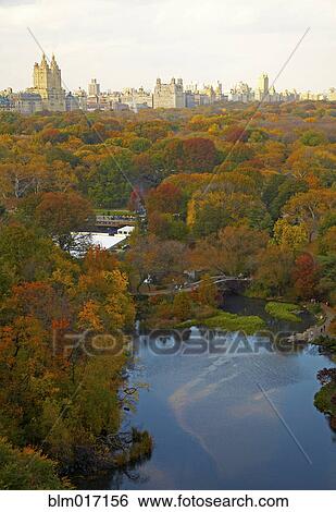 Aerial view of urban park, New York, New York, United States View Large Photo Image Stock Photograph - Aerial view of urban park, New York, New York, United States. Fotosearch
