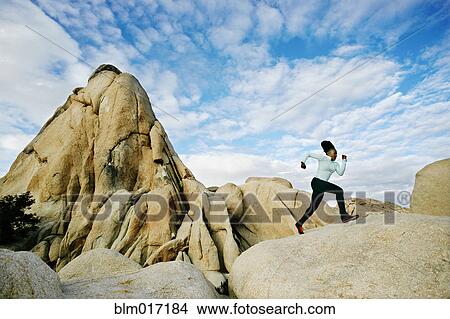 Black runner in desert landscape, Joshua Tree National Park, California, United States View Large Photo Image Picture - Black runner in desert landscape, Joshua Tree National Park, California, United States. Fotosearch