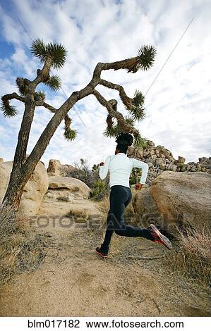 Black runner in desert landscape, Joshua Tree National Park, California, United States View Large Photo Image Stock Image - Black runner in desert landscape, Joshua Tree National Park, California, United States. Fotosearch