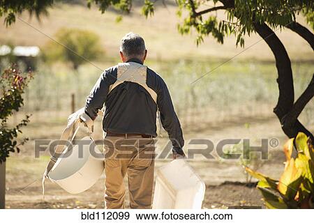 Stock Photo - Caucasian farmer carrying buckets in olive grove. Fotosearch