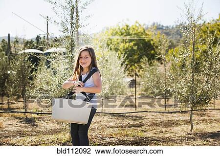 Caucasian girl carrying basket in olive grove View Large Photo Image Stock Image - Caucasian girl carrying basket in olive grove. Fotosearch