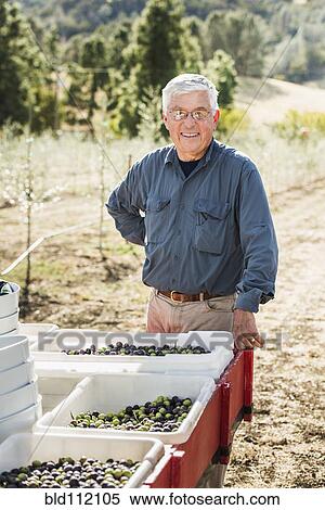 Stock Photography - Caucasian man standing in olive grove. Fotosearch