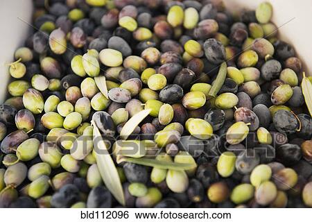 Stock Photograph - Close up of olives. Fotosearch