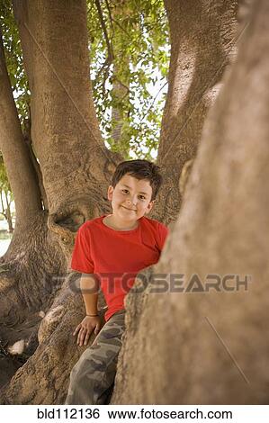 Hispanic boy climbing in tree View Large Photo Image Stock Photograph - Hispanic boy climbing in tree. Fotosearch
