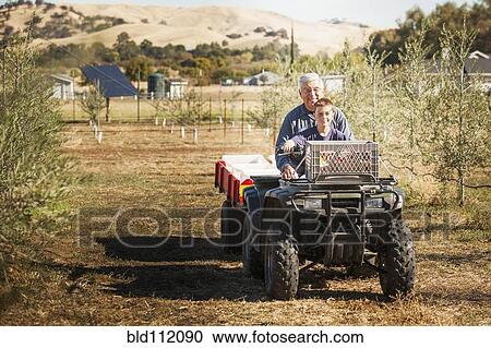 Older Caucasian man and grandson on four wheeler in olive grove View Large Photo Image Stock Image - Older Caucasian man and grandson on four wheeler in olive grove. Fotosearch