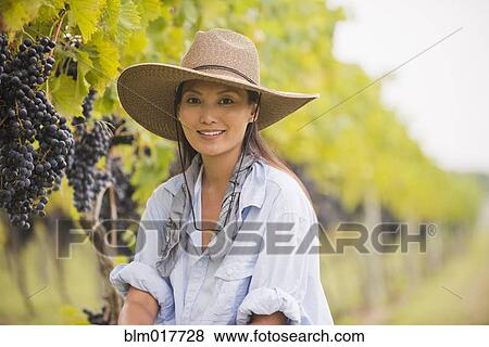 Stock Photo - Asian woman picking grapes in vineyard. Fotosearch