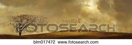 Birds flying to bare tree in rural landscape View Large Photo Image Stock Image - Birds flying to bare tree in rural landscape. Fotosearch