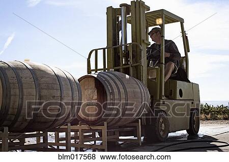 Caucasian farmer driving forklift with barrel View Large Photo Image Stock Photo - Caucasian farmer driving forklift with barrel. Fotosearch