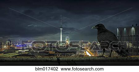 Crow overlooking cityscape, Berlin, Berlin, Germany View Large Photo Image Stock Image - Crow overlooking cityscape, Berlin, Berlin, Germany. Fotosearch