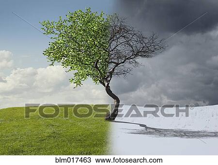 Digital illustration of half winter landscape View Large Photo Image Stock Image - Digital illustration of half winter landscape. Fotosearch