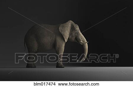 Picture - Elephant standing indoors. Fotosearch