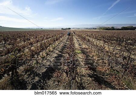 Stock Photography - Empty crop field in rural landscape. Fotosearch
