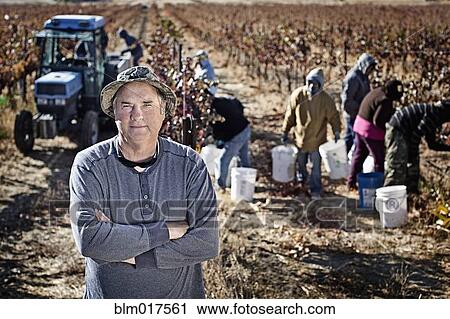 Stock Image - Farmer overseeing workers in crop field. Fotosearch