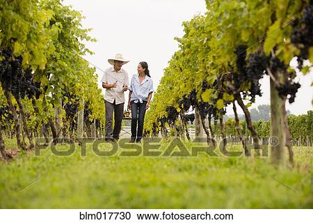 Stock Image - Farmers talking in vineyard. Fotosearch